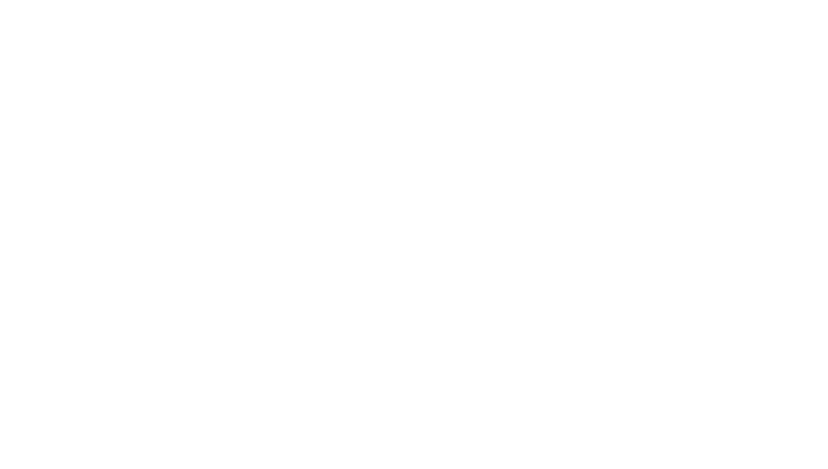 Partyscape Events